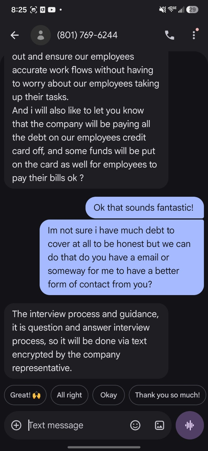 Screenshot 5. I ask for an email address or a better contact method. The reply describes an interview by text and claims encryption.